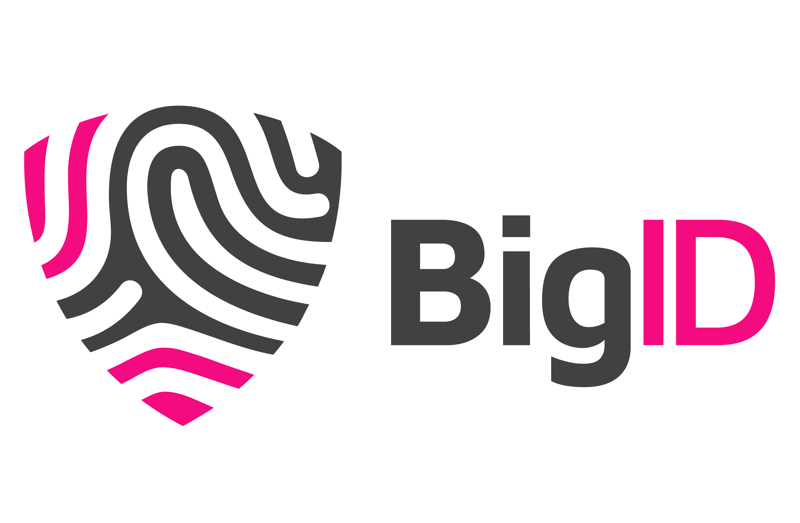 BigID