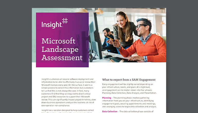 Article Microsoft Landscape Assessment  Image