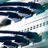 Close up of Ethernet cables